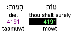 Hebrew and English for Genesis 2:16