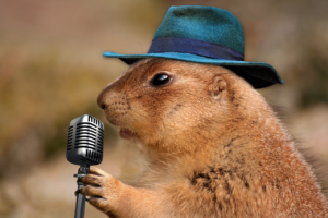 audio-Beaver with hat speaking into a microphone