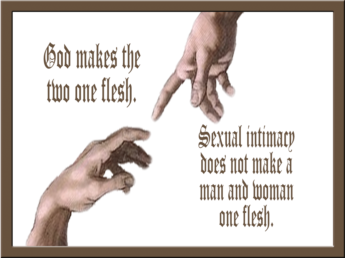 God makes the two one flesh. Sexual intimacy does not make a man and woman one flesh: two hands with outstretched index fingers reaching toward one another
