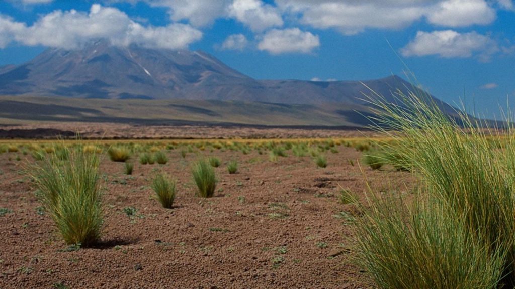 Chile's Atacama Desert