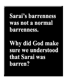 Sari's barrenness was not a normal barranness. Why did God make sure we understood that Sarai was barren?