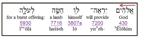 Hebrew text showing KJ Bible is only one correctly translating Genesis 22:8 (of versions discussed).