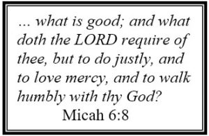 Text box for Micah 6:8