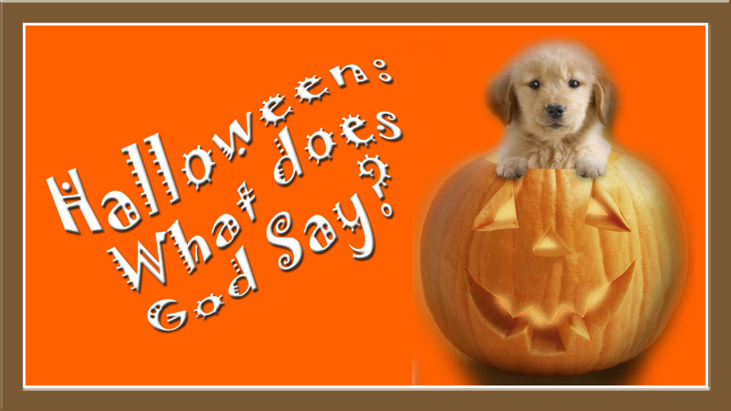 Halloween: What does God Say? with puppy on top of a carved pumpkin