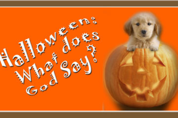 Halloween: What does God Say? with puppy on top of a carved pumpkin