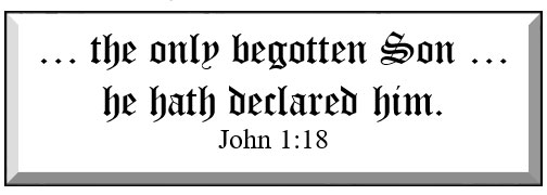 ... the only begotten Son ... he hath declared him. John 1:18