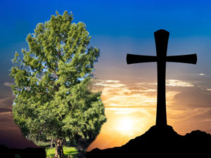 live green tree and an image of a wooden cross