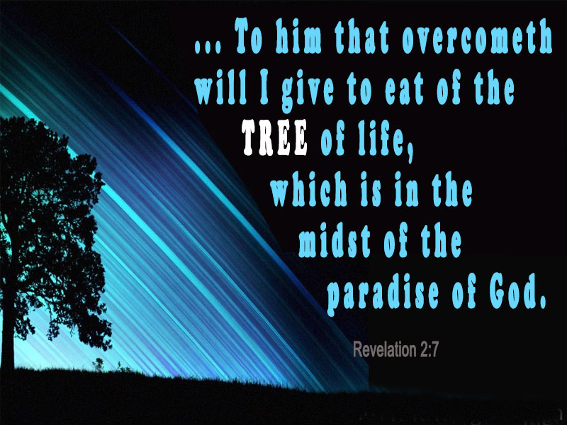 text for Revelation 2:7 with black background and a image of a tree at the left